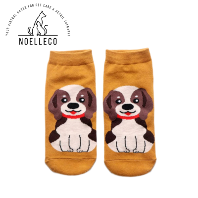 Beagle Puppy Socks for Women 