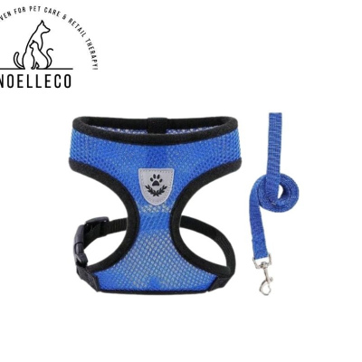 Bright Blue Harness  