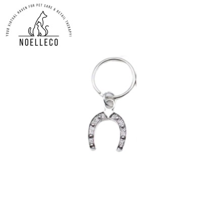 Horse shoe keyring