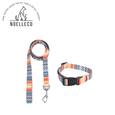 Dog collar with leash - Bohemian Blue and Orange